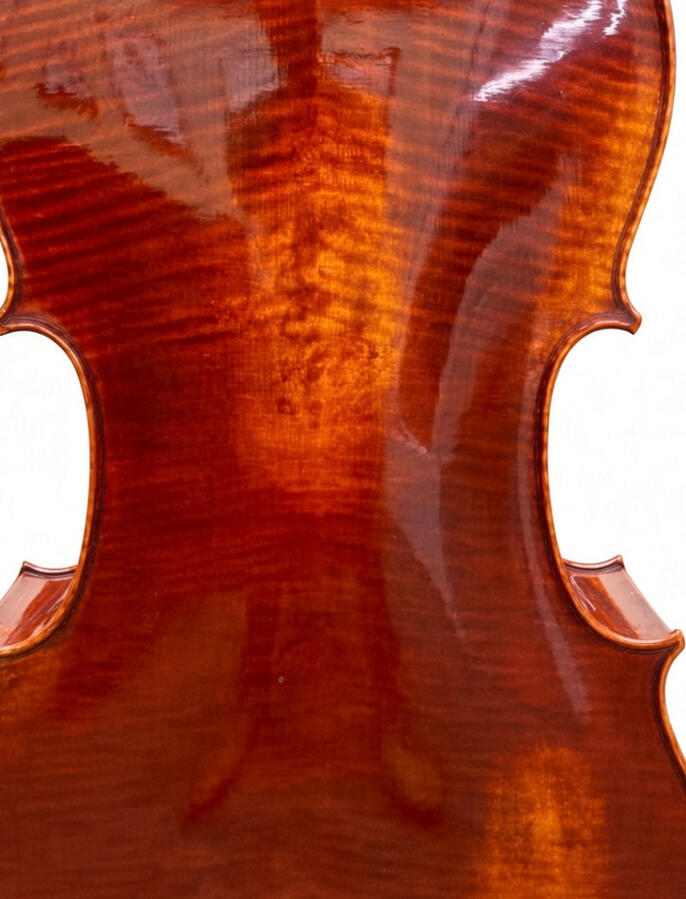 Cello (back)